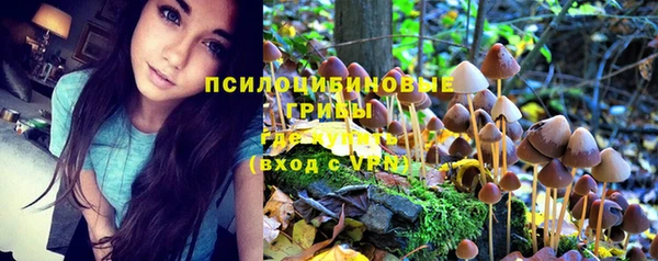 МДПВ Семилуки