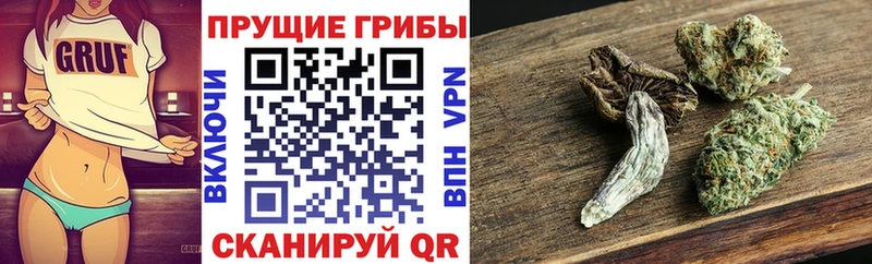 Галлюциногенные грибы GOLDEN TEACHER  darknet официальный сайт  Севск 